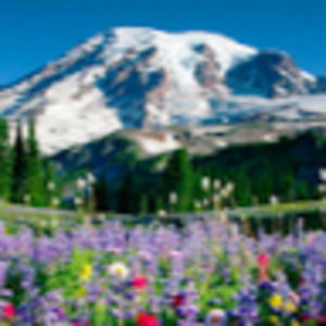 Meet your Posher, Isabelle